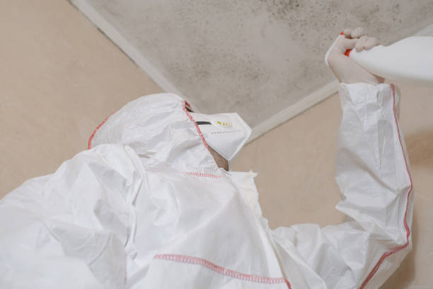 Best Mold Removal Near Me  in Munday, TX